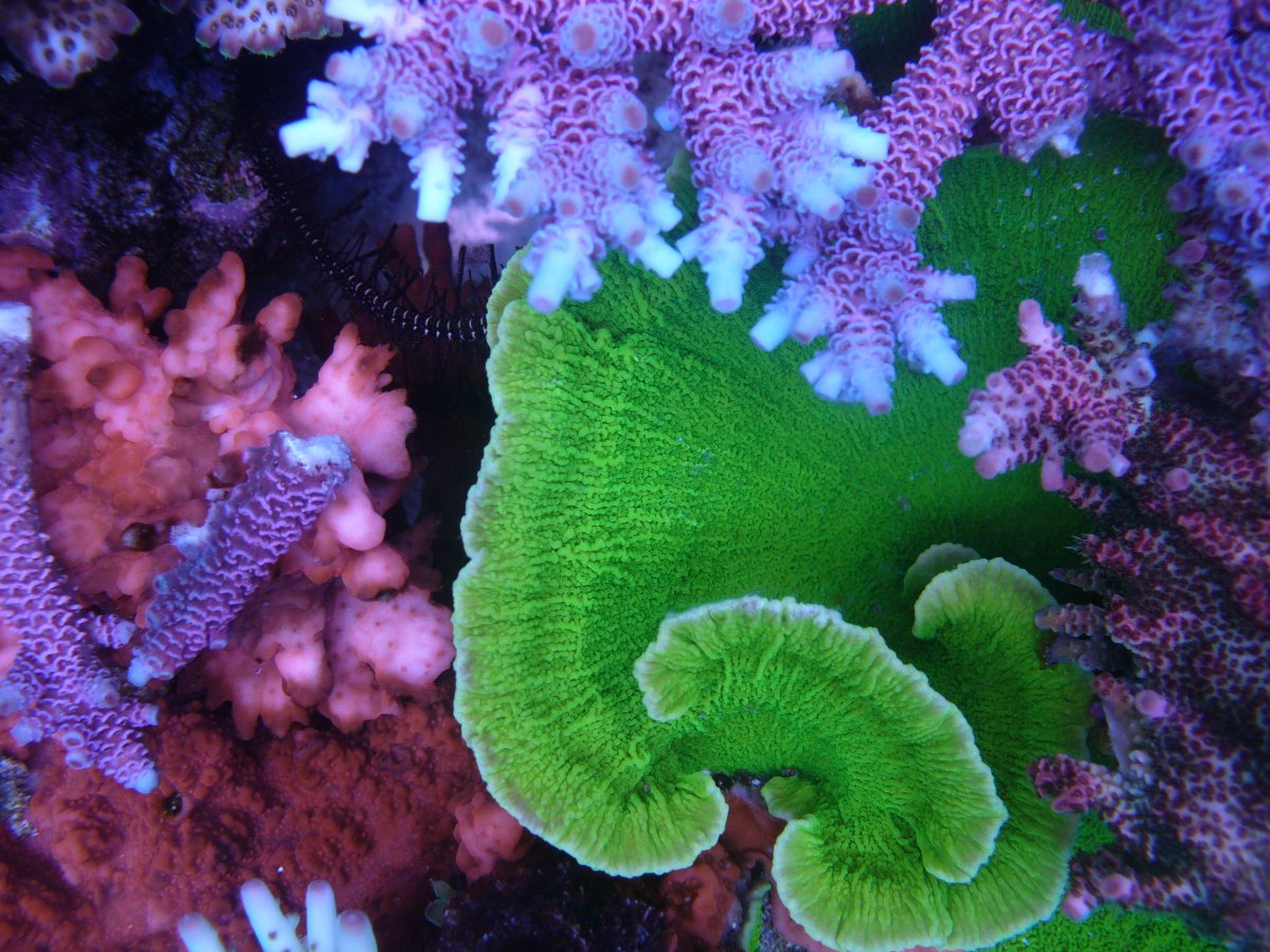 P1130143.jpg