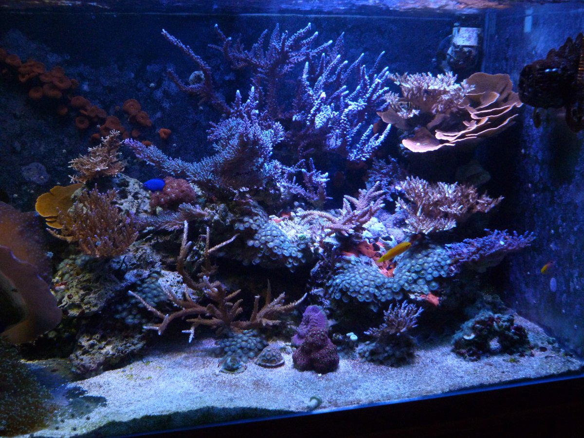 P1140336.JPG