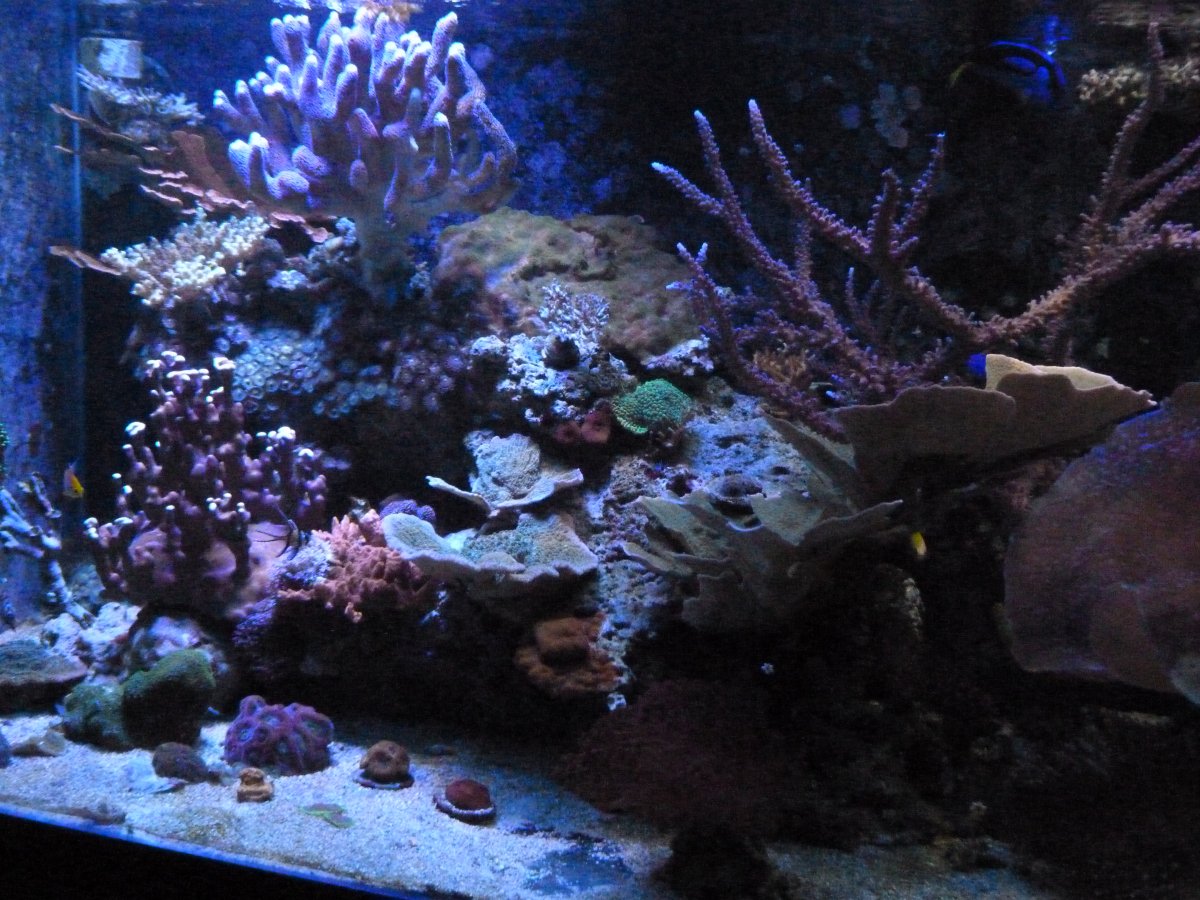 P1140341.JPG