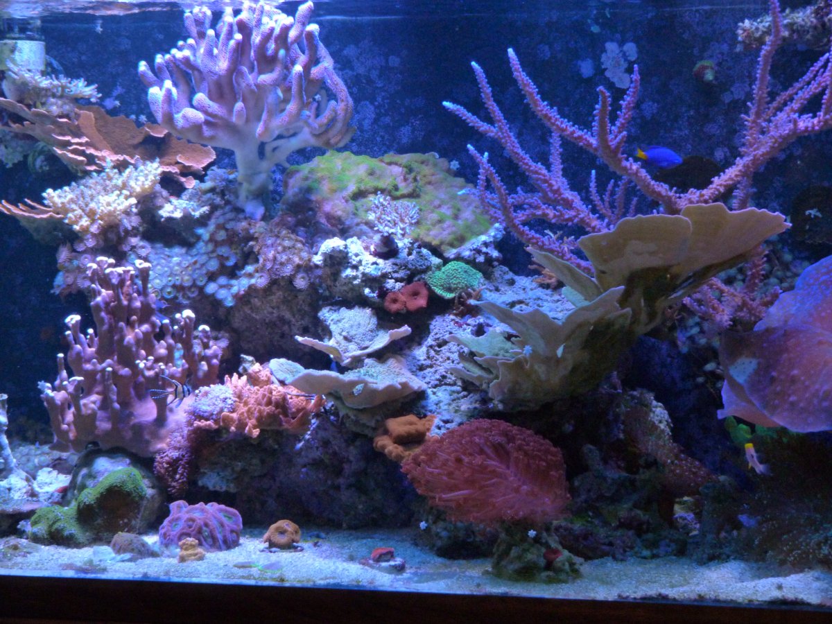 P1140407.JPG