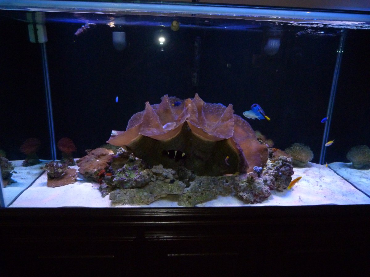 P1150929.JPG