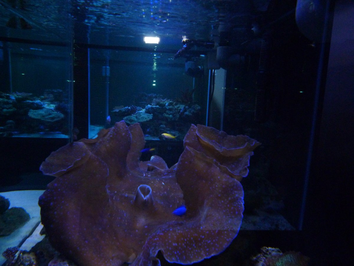 P1150941.JPG