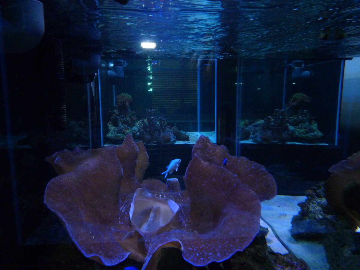 P1150946.JPG