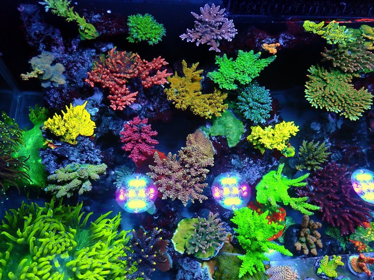 P1230256.JPG