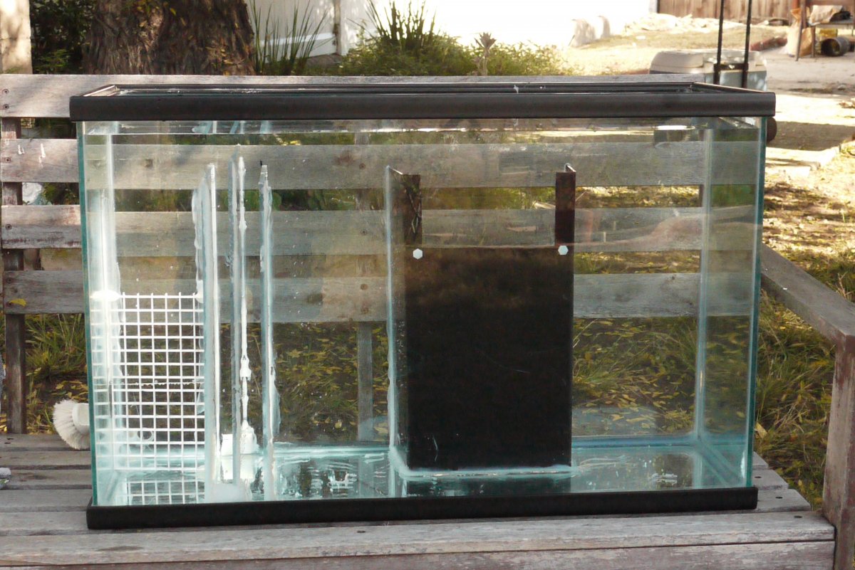 P1250652.JPG
