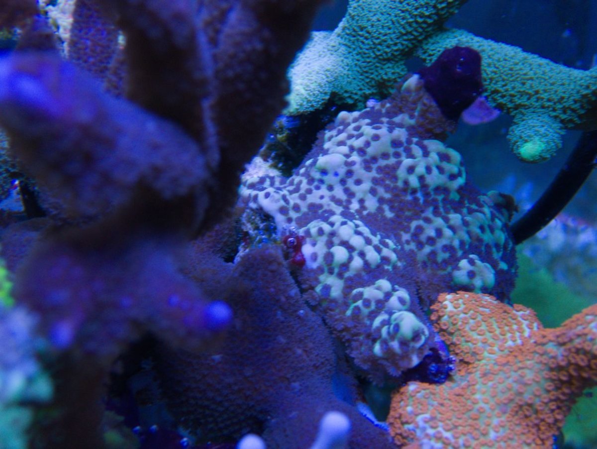P1260013.jpg