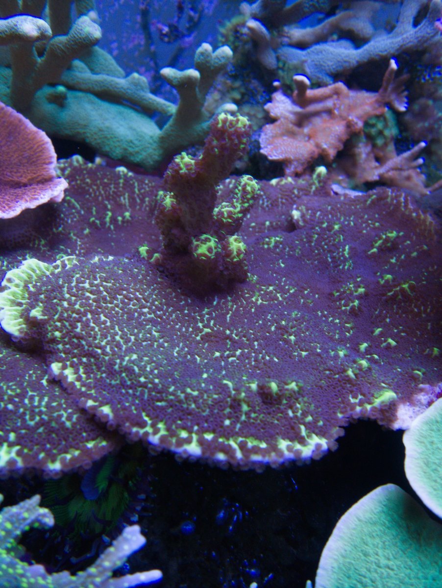 P1260029.jpg