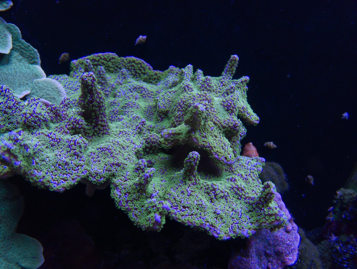 P1260030.jpg