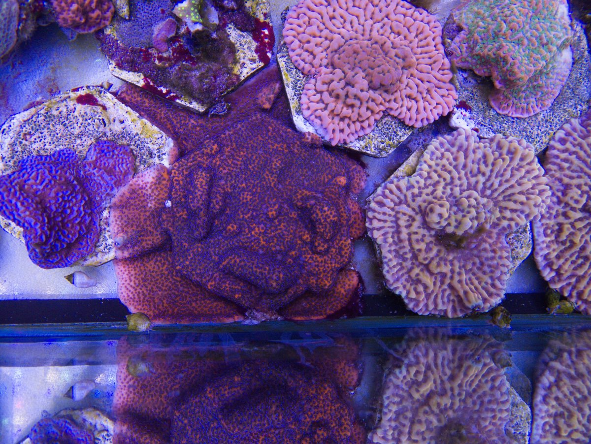 P1260032.jpg