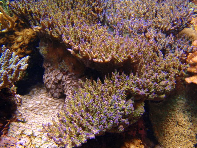P1280447.JPG