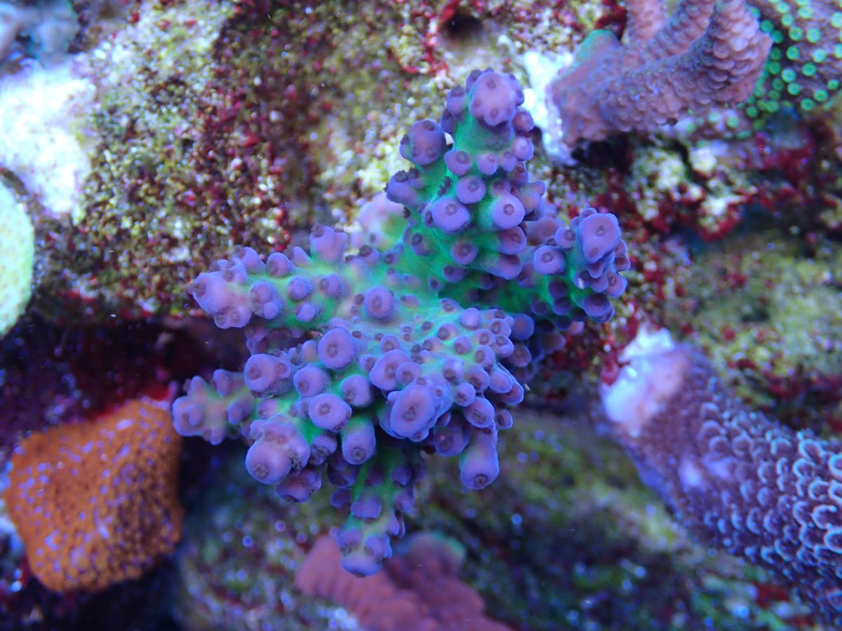 P2031237.JPG