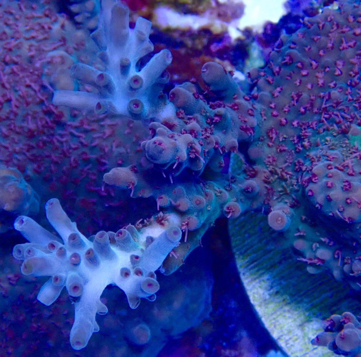 P2070736.jpeg