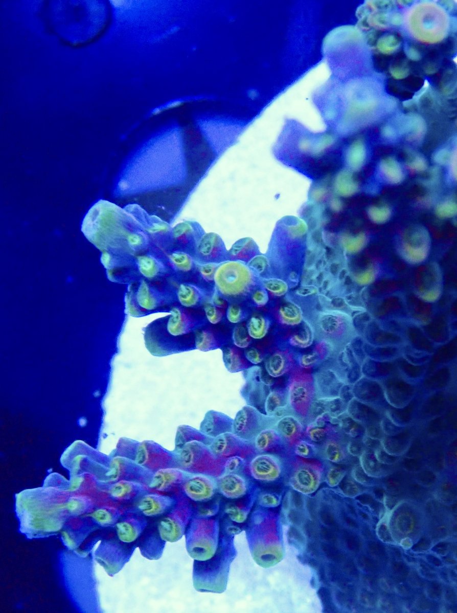 P2130634.jpeg