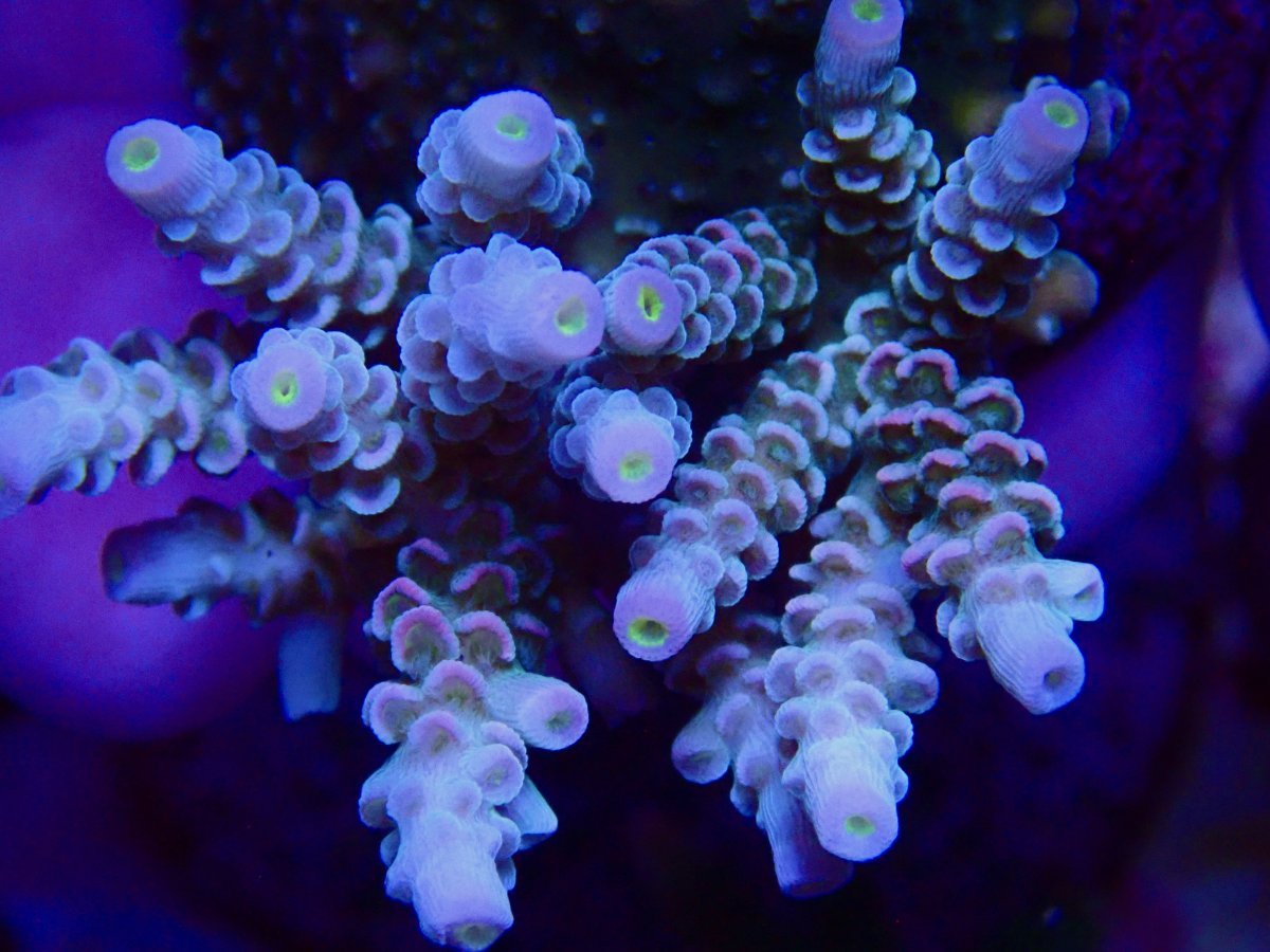 P2140443.jpeg