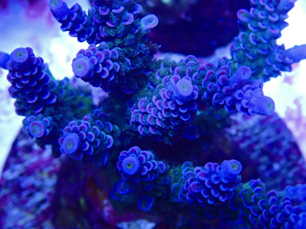 P2140542.jpeg