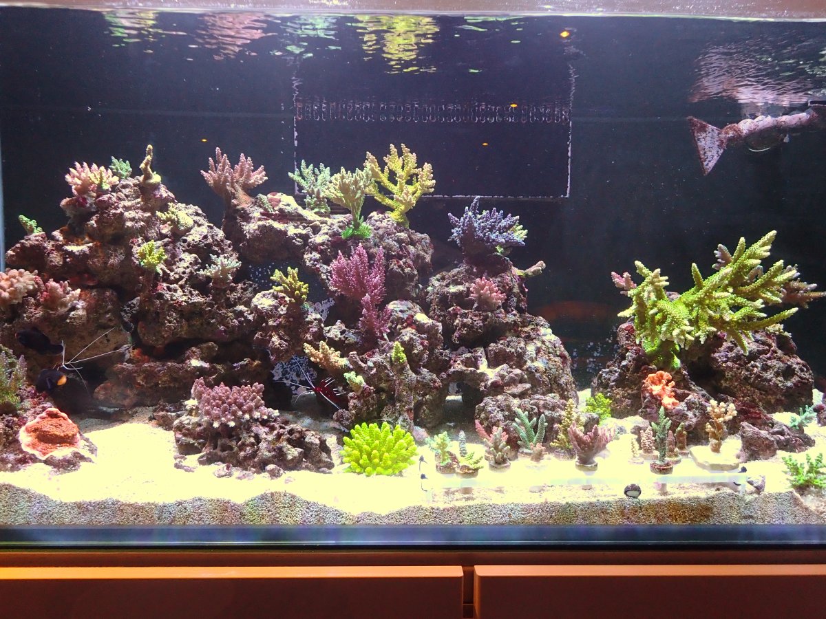 P2181082.JPG