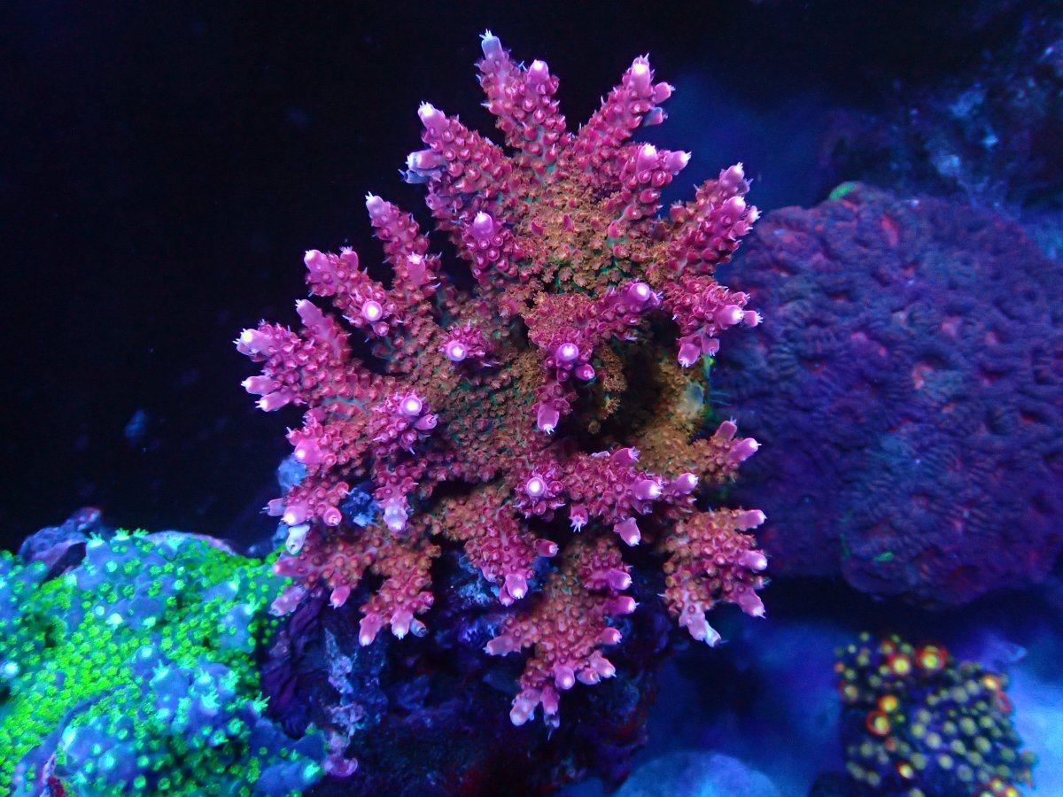 P3011500.JPG