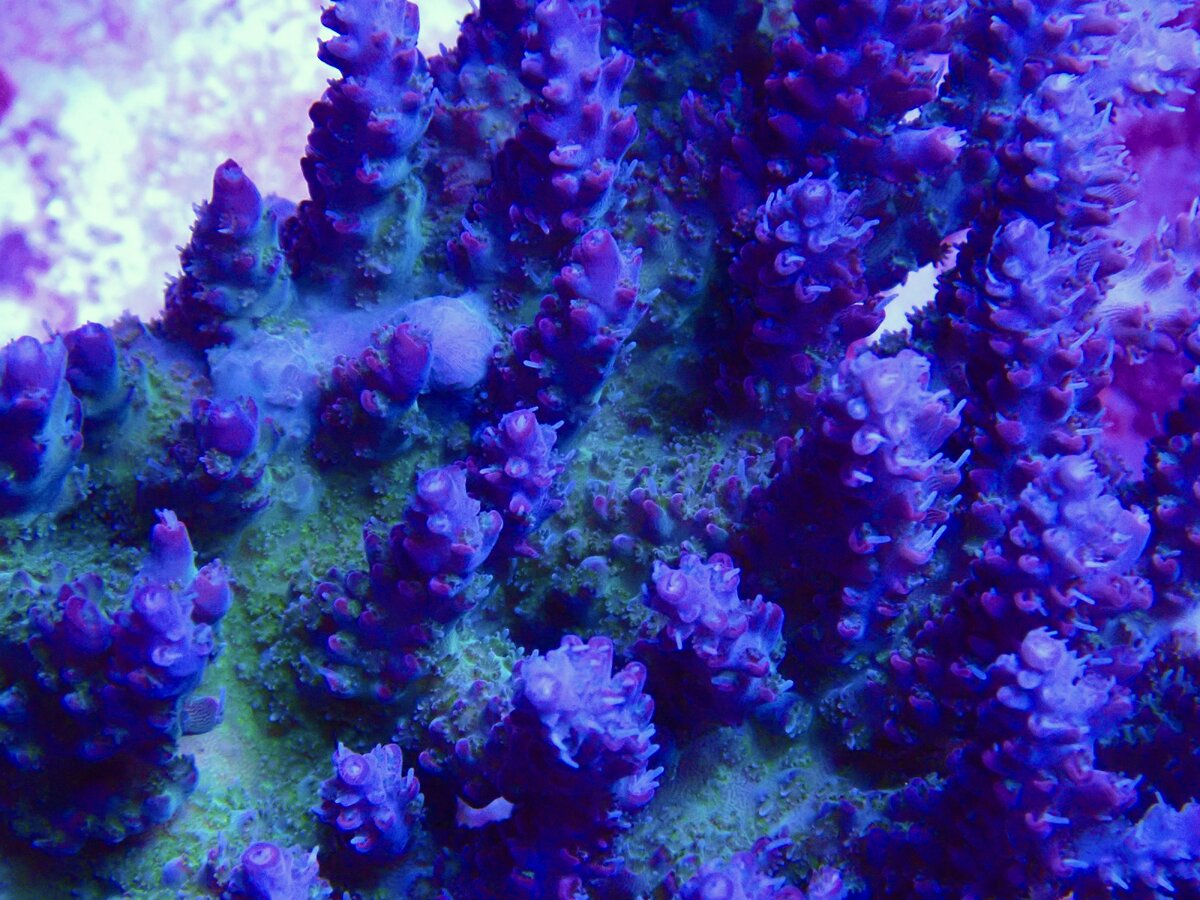 P3140664.jpeg