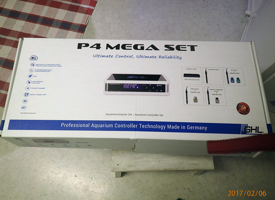 p4-a.jpg