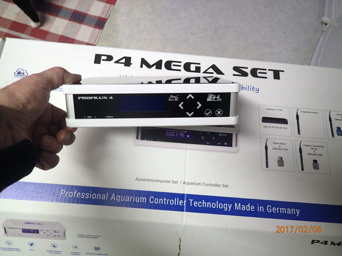 p4-b.jpg