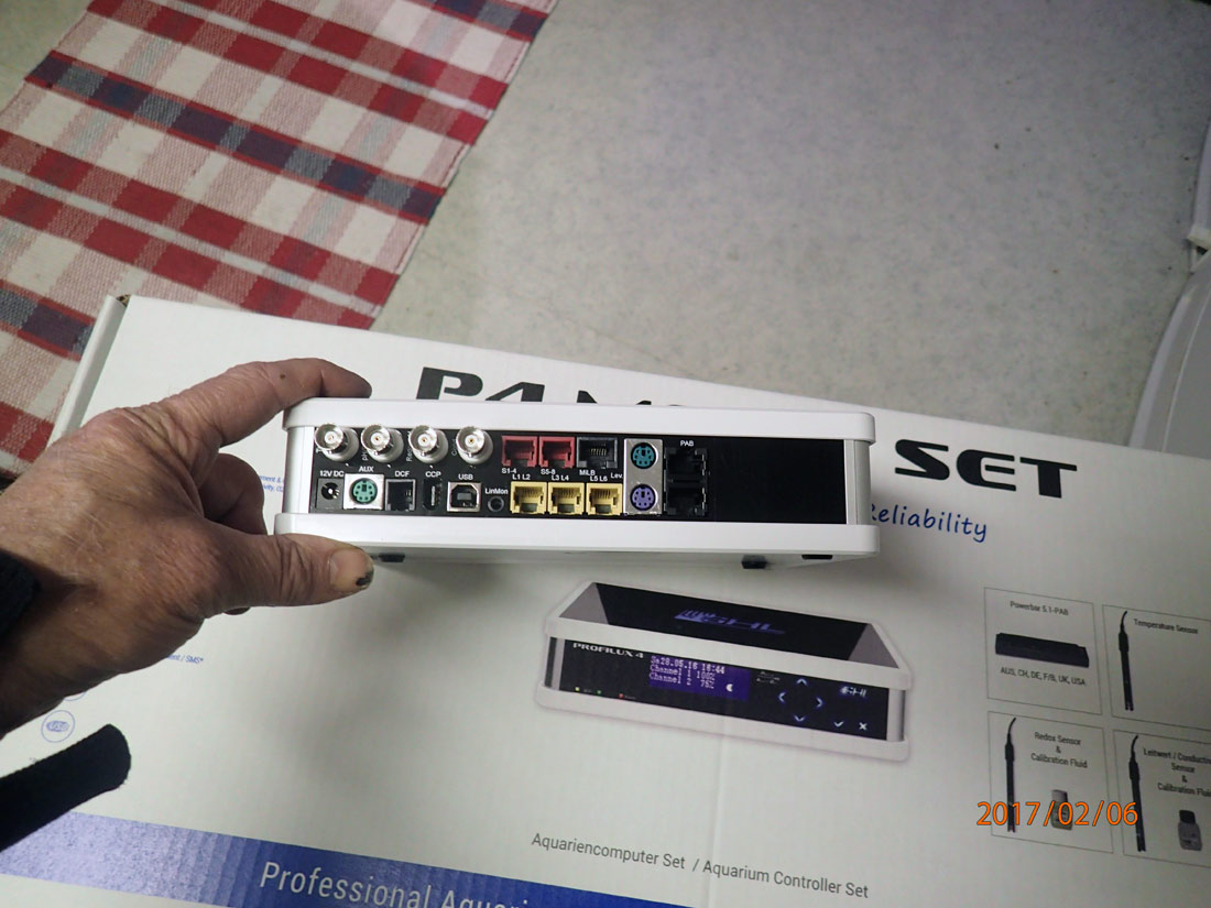 P4-c.jpg
