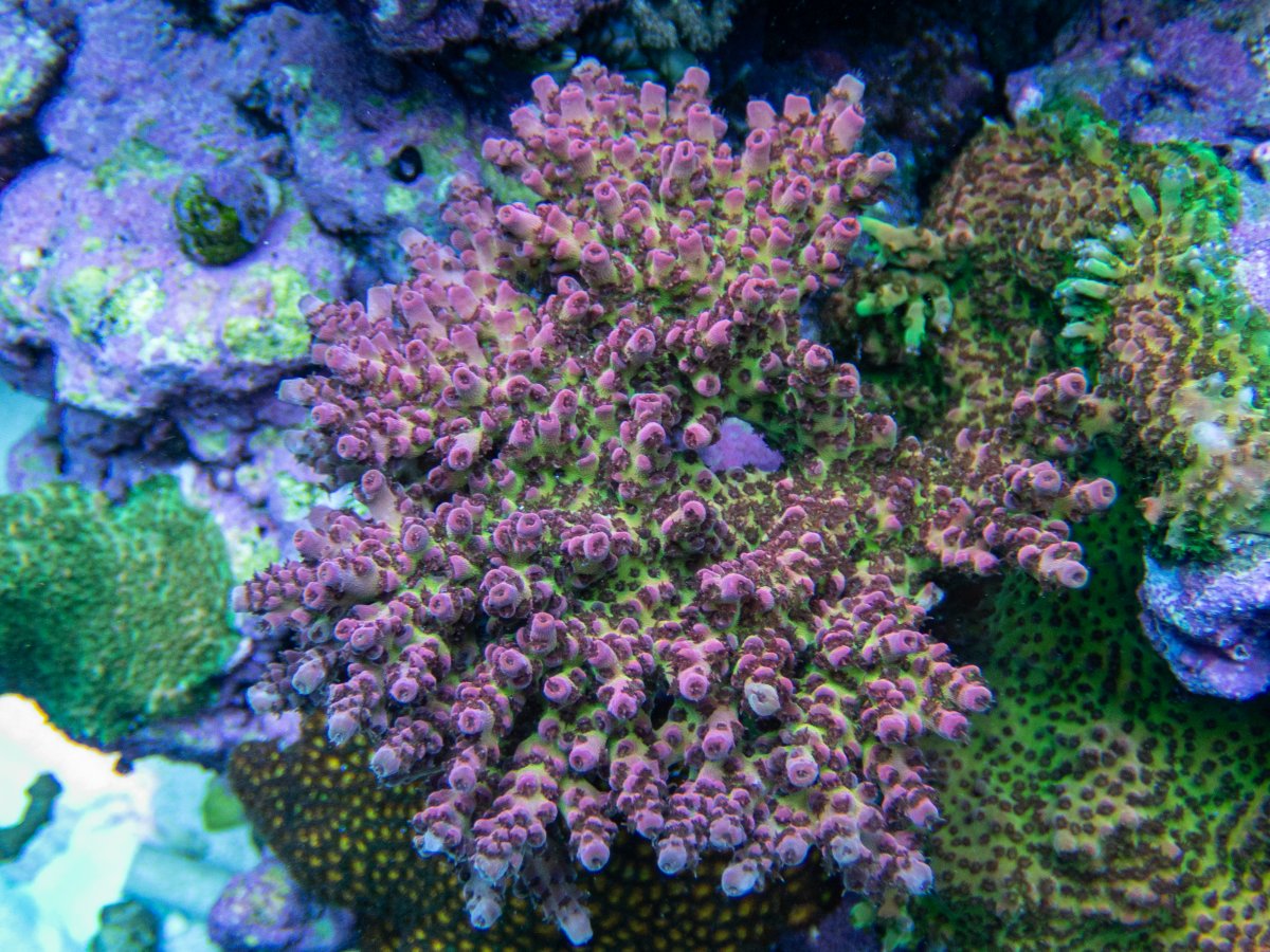 P4140151.jpg