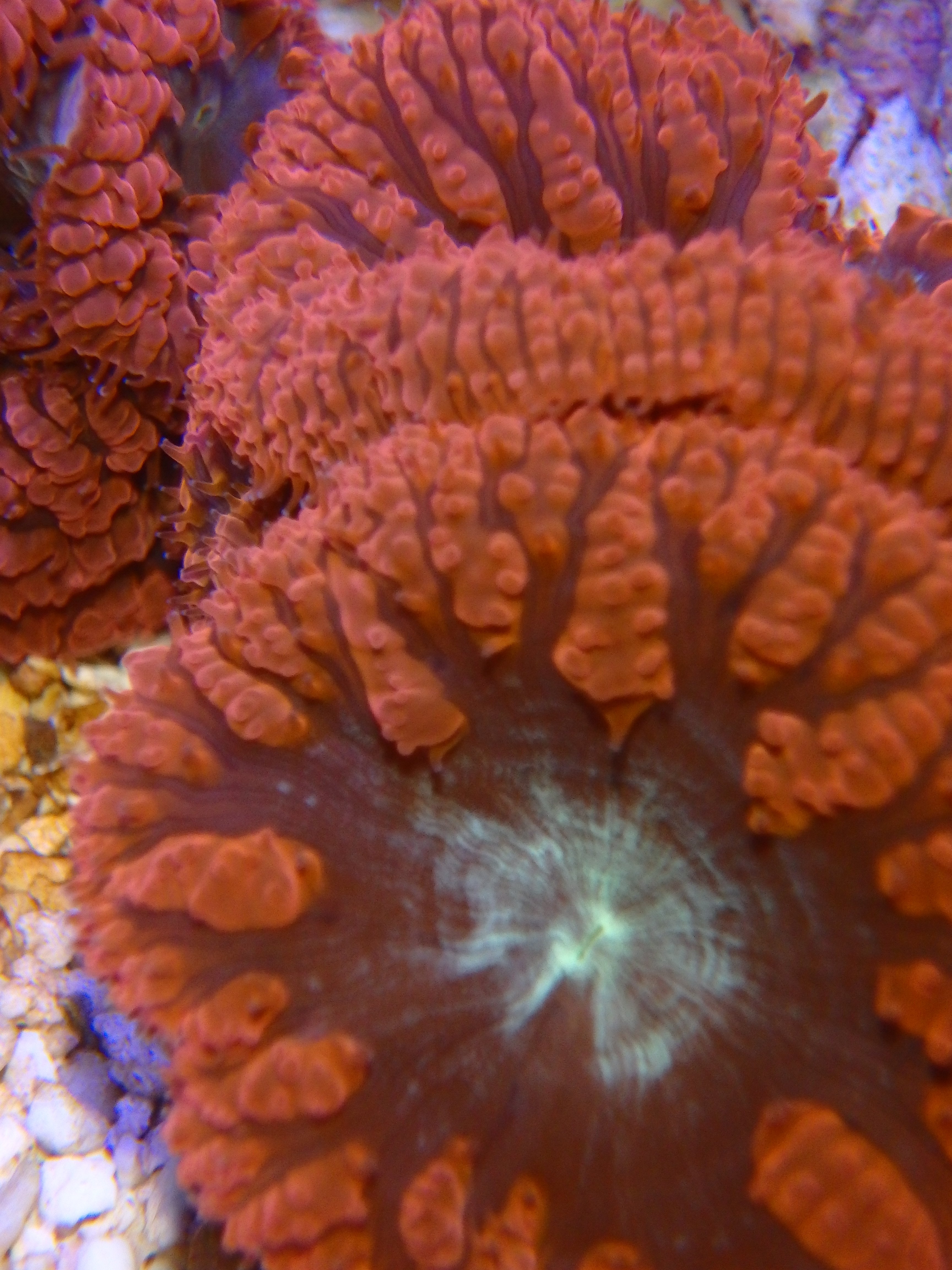 P4208353.JPG