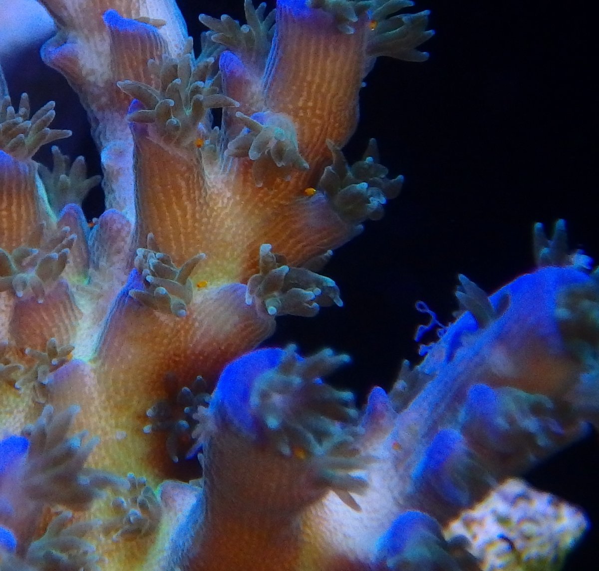 P4208363.JPG