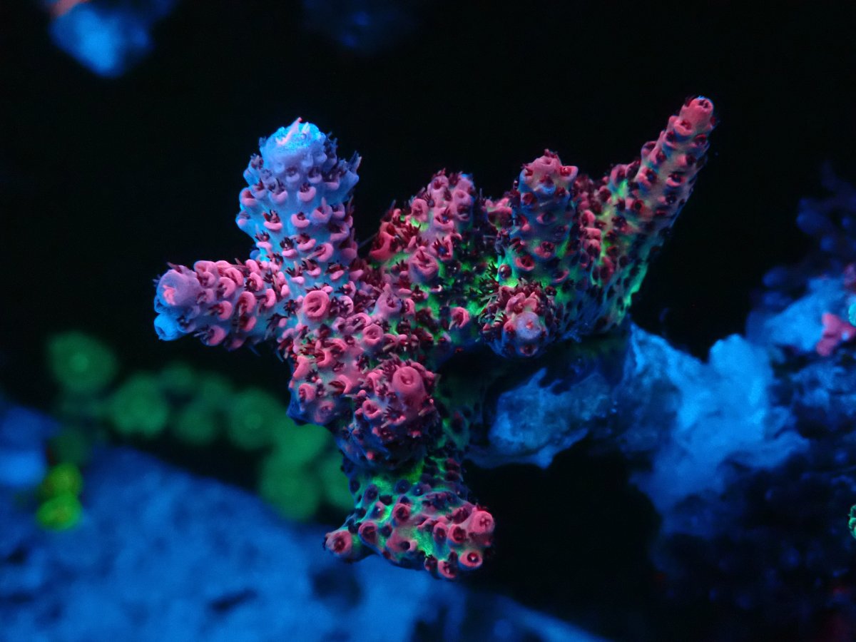 P4240014.JPG