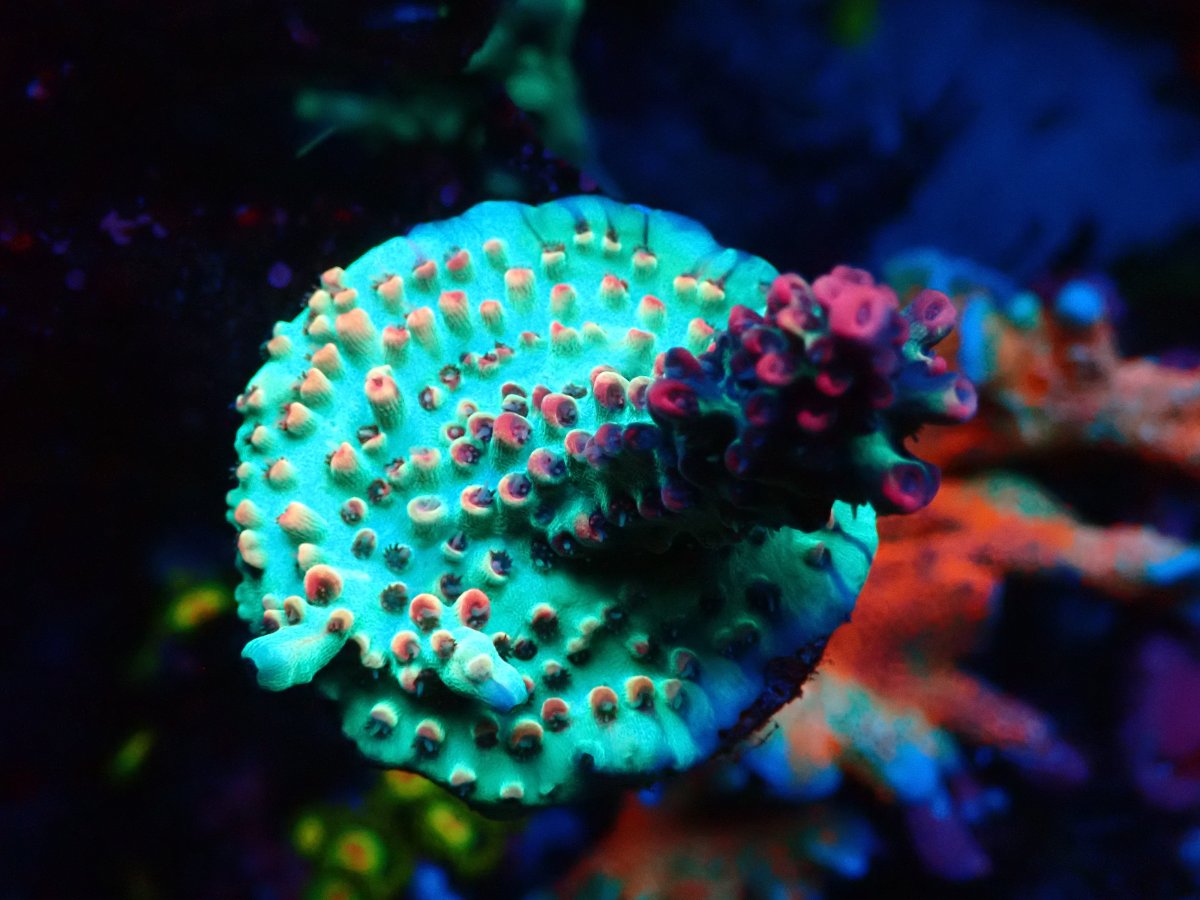P4240024.JPG
