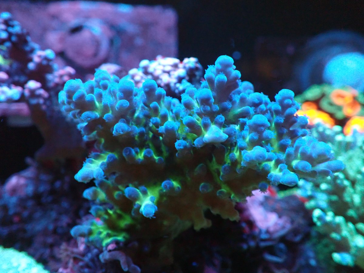 P4240045.JPG
