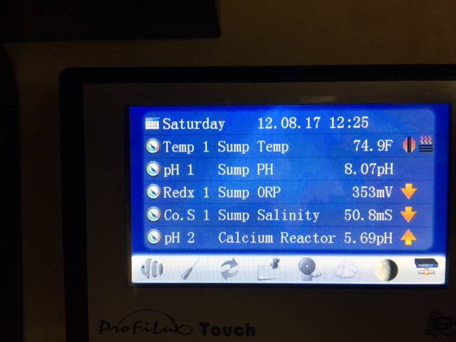 P4_Display.JPG