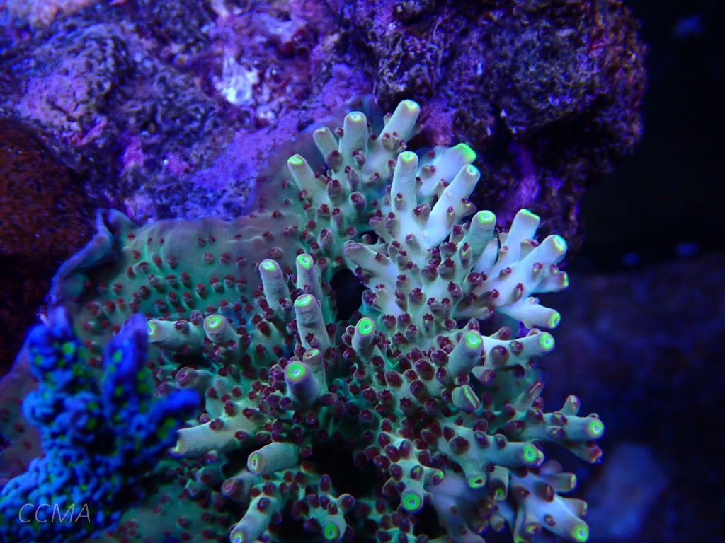 P5280008.jpg