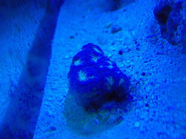 P6130036.jpg