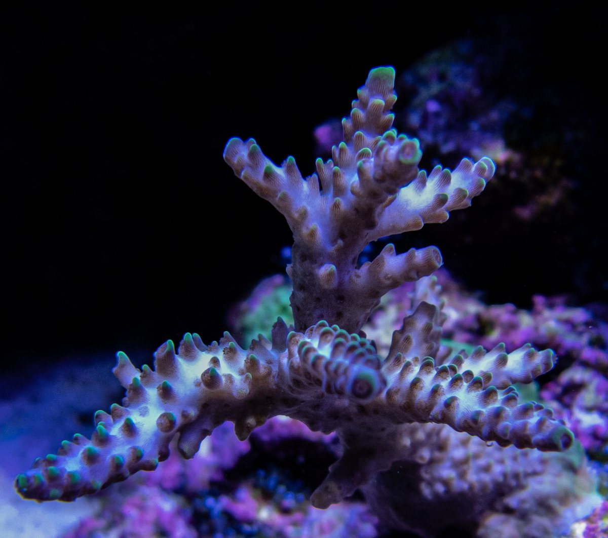 P6220158.jpg