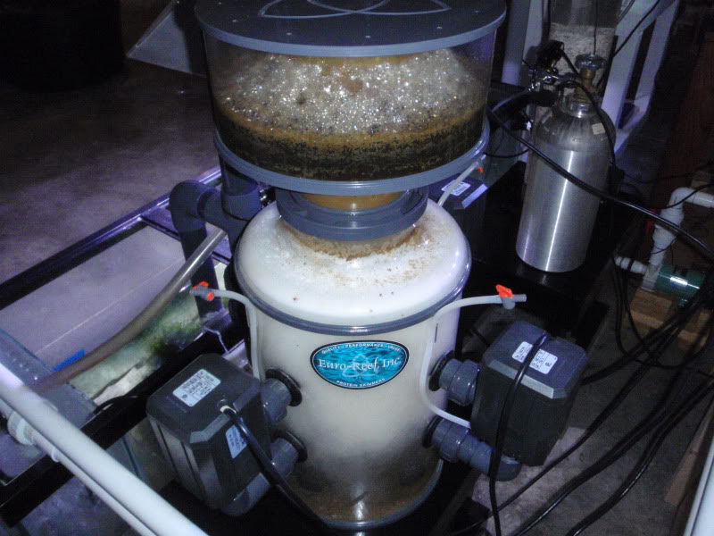 Best protein skimmer hot sale for reef tank