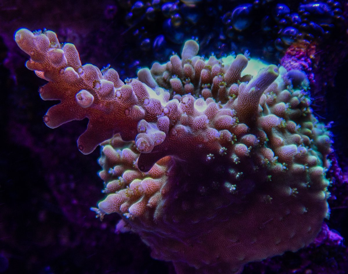 P7020445.jpg