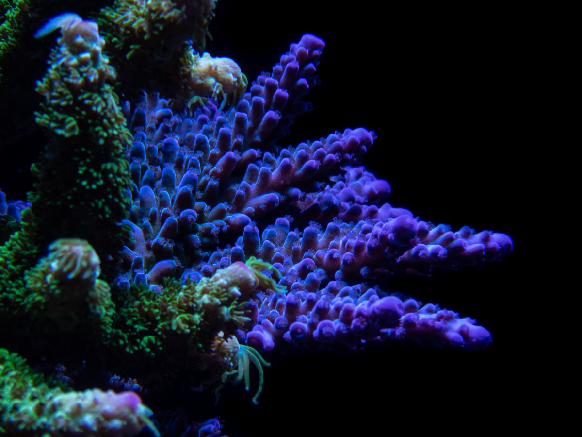 P7220199.jpg