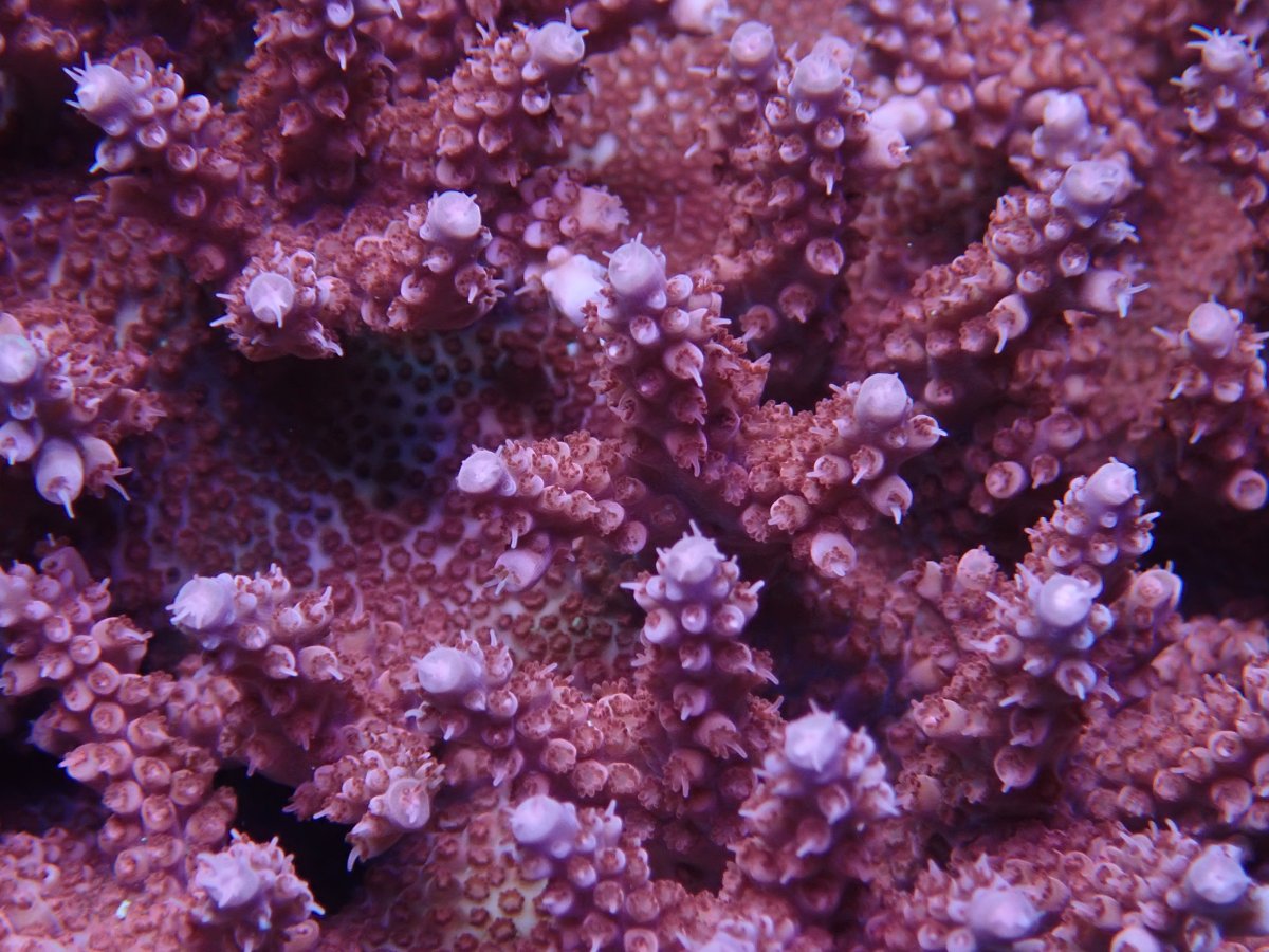 P8193547.JPG