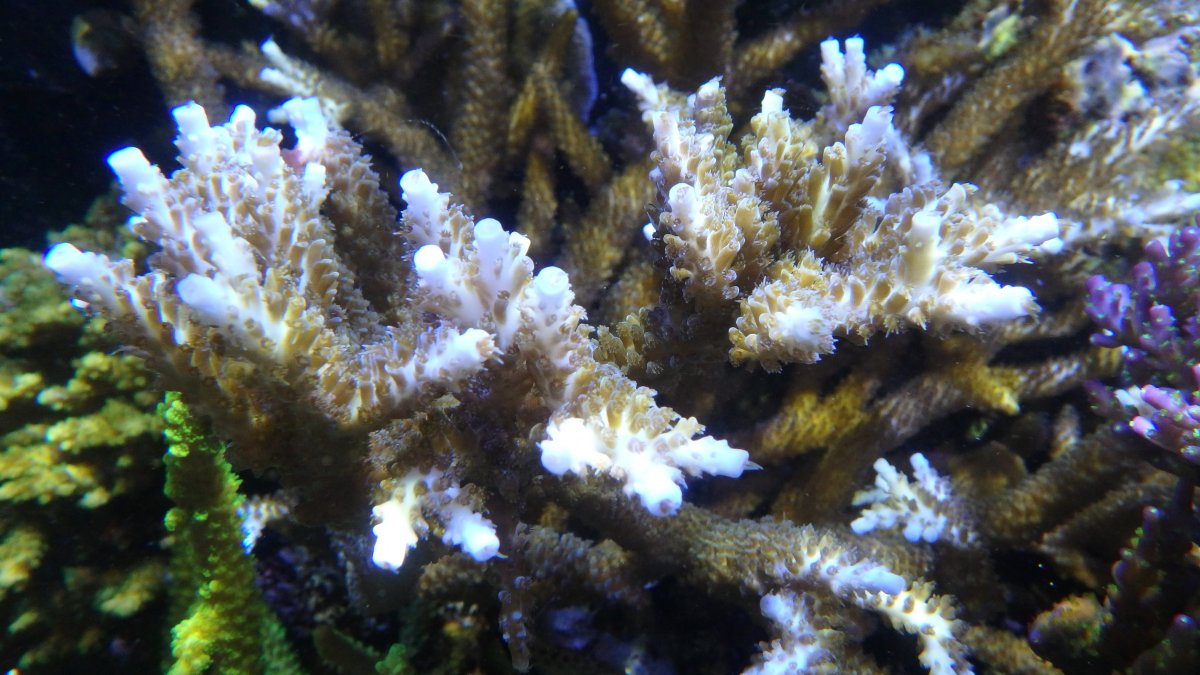 P8280004.JPG