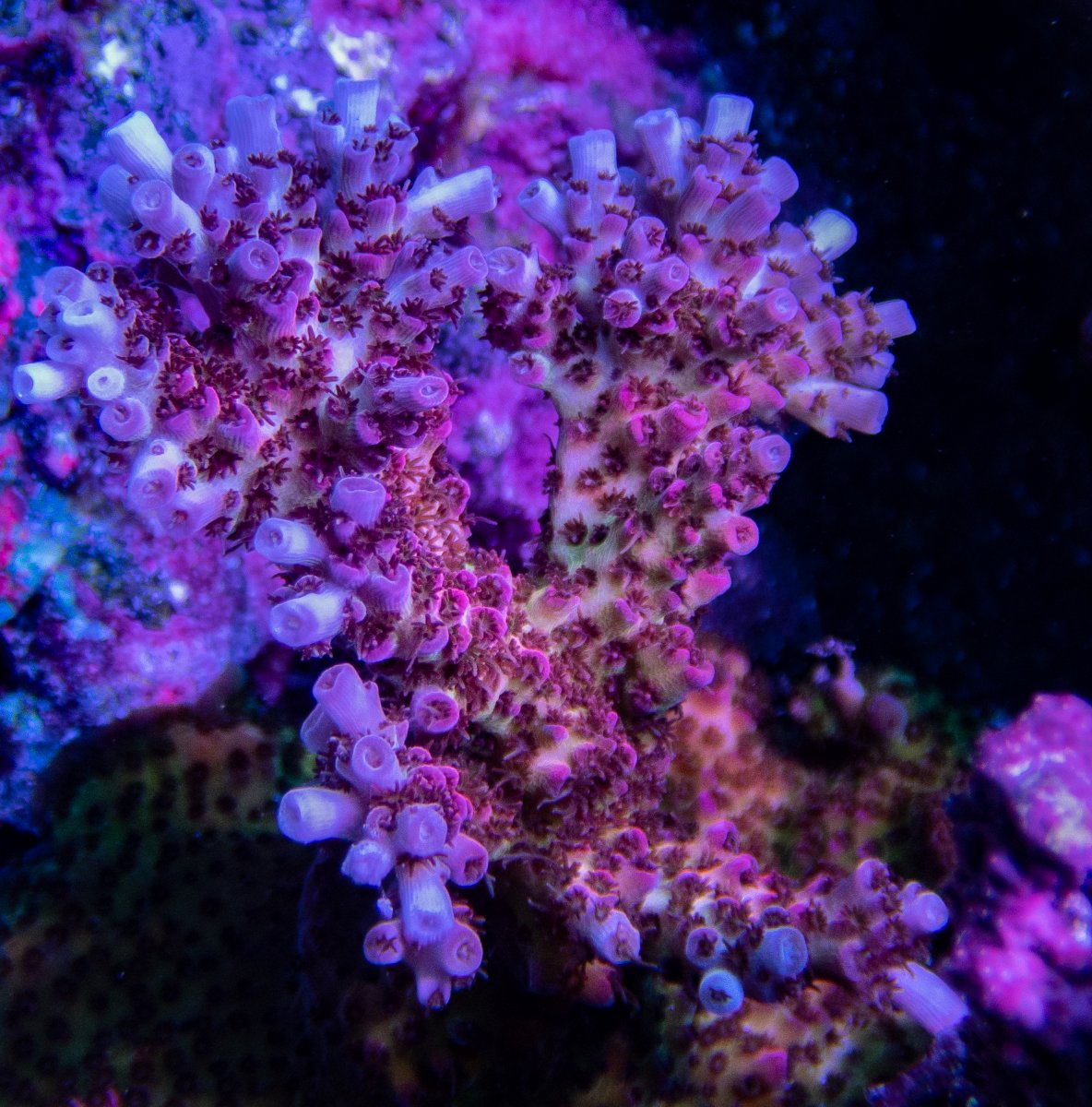 P9130206.jpg