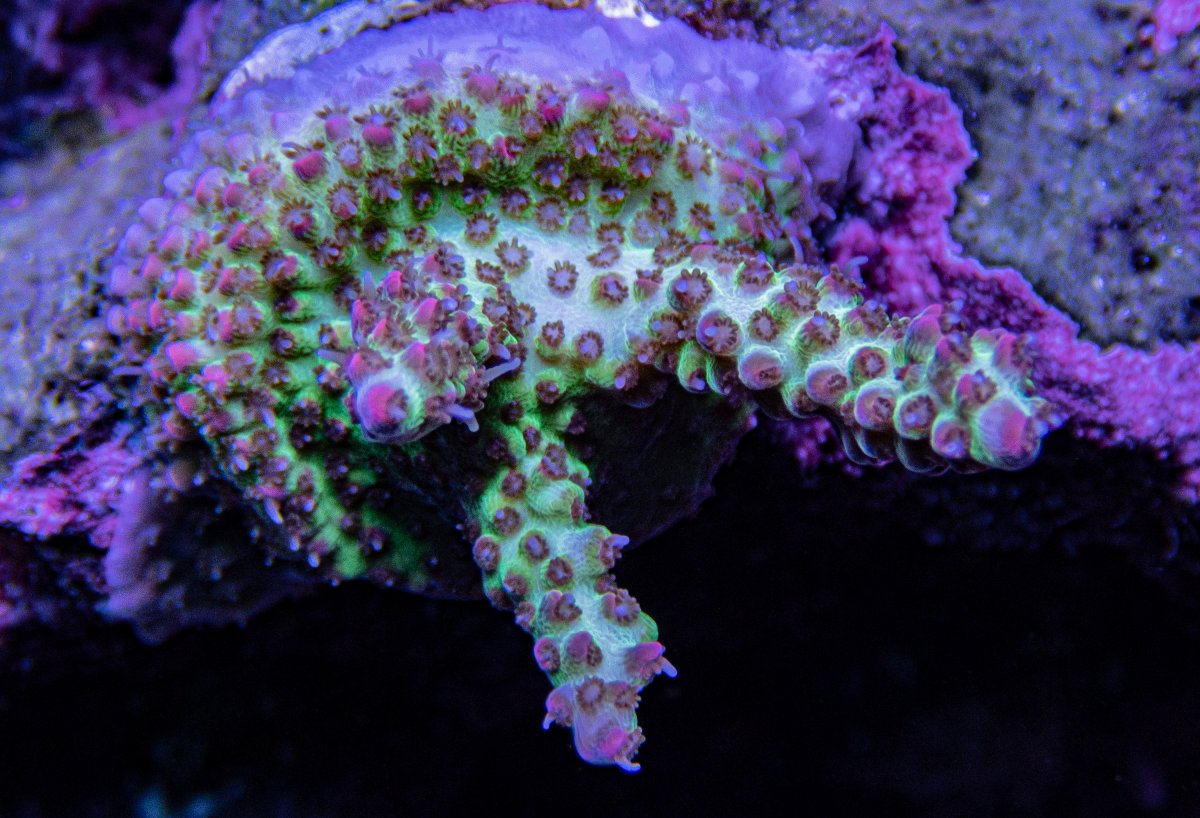 P9130270-2.jpg