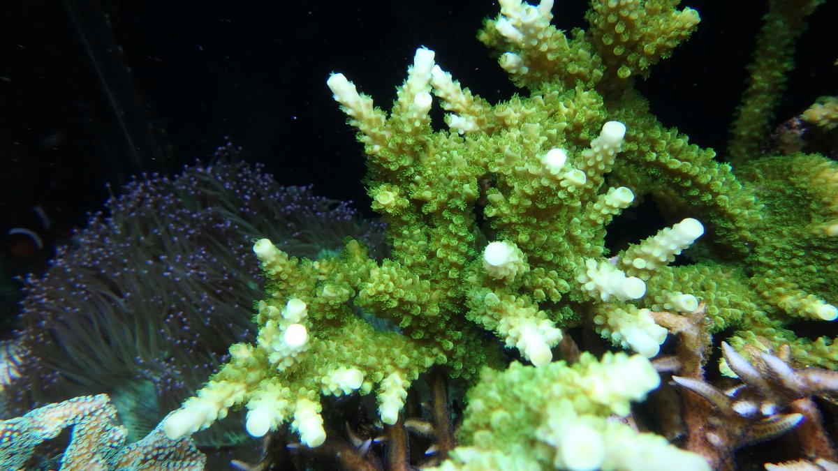 P9220010.JPG