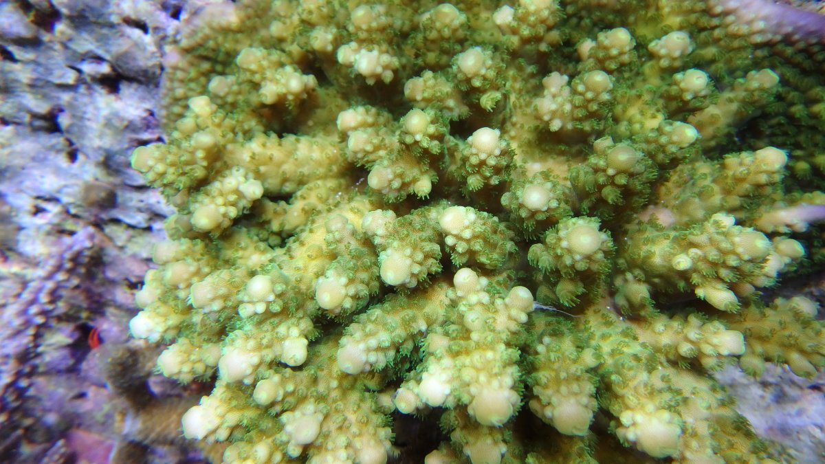 P9220015.JPG