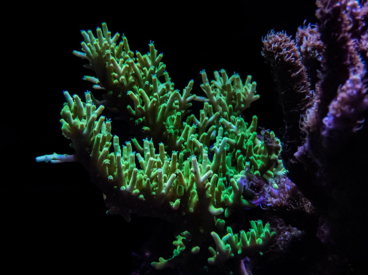 P9280854.jpg