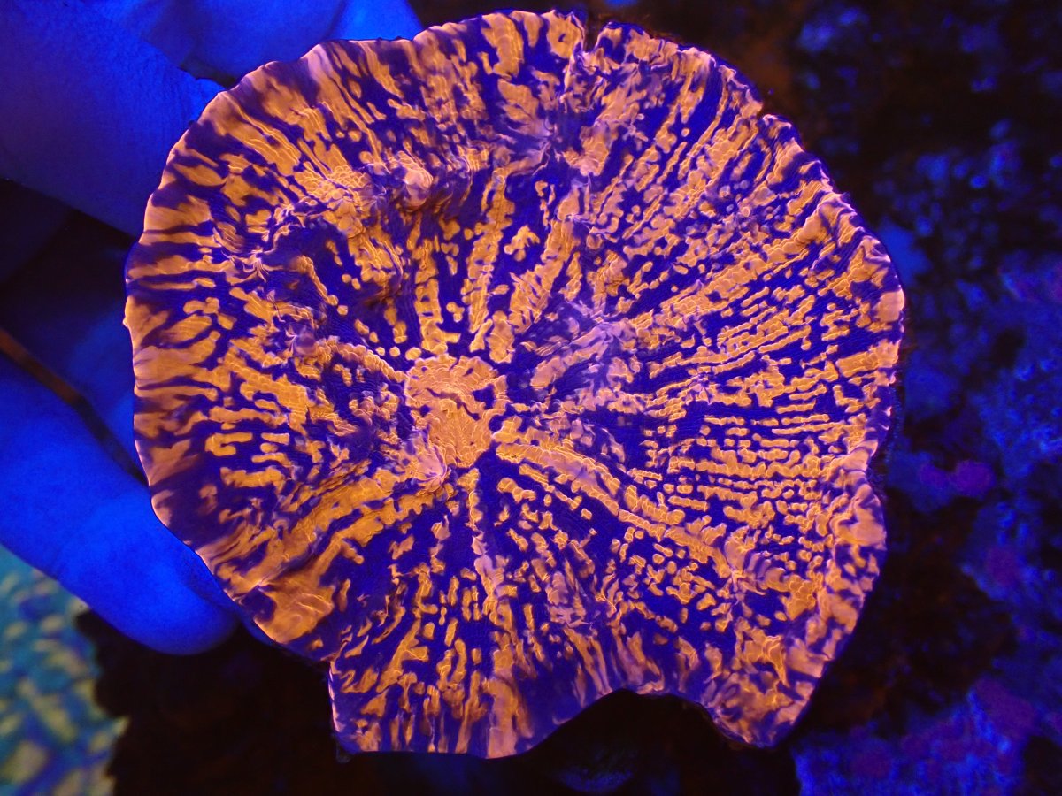 P9284084.JPG