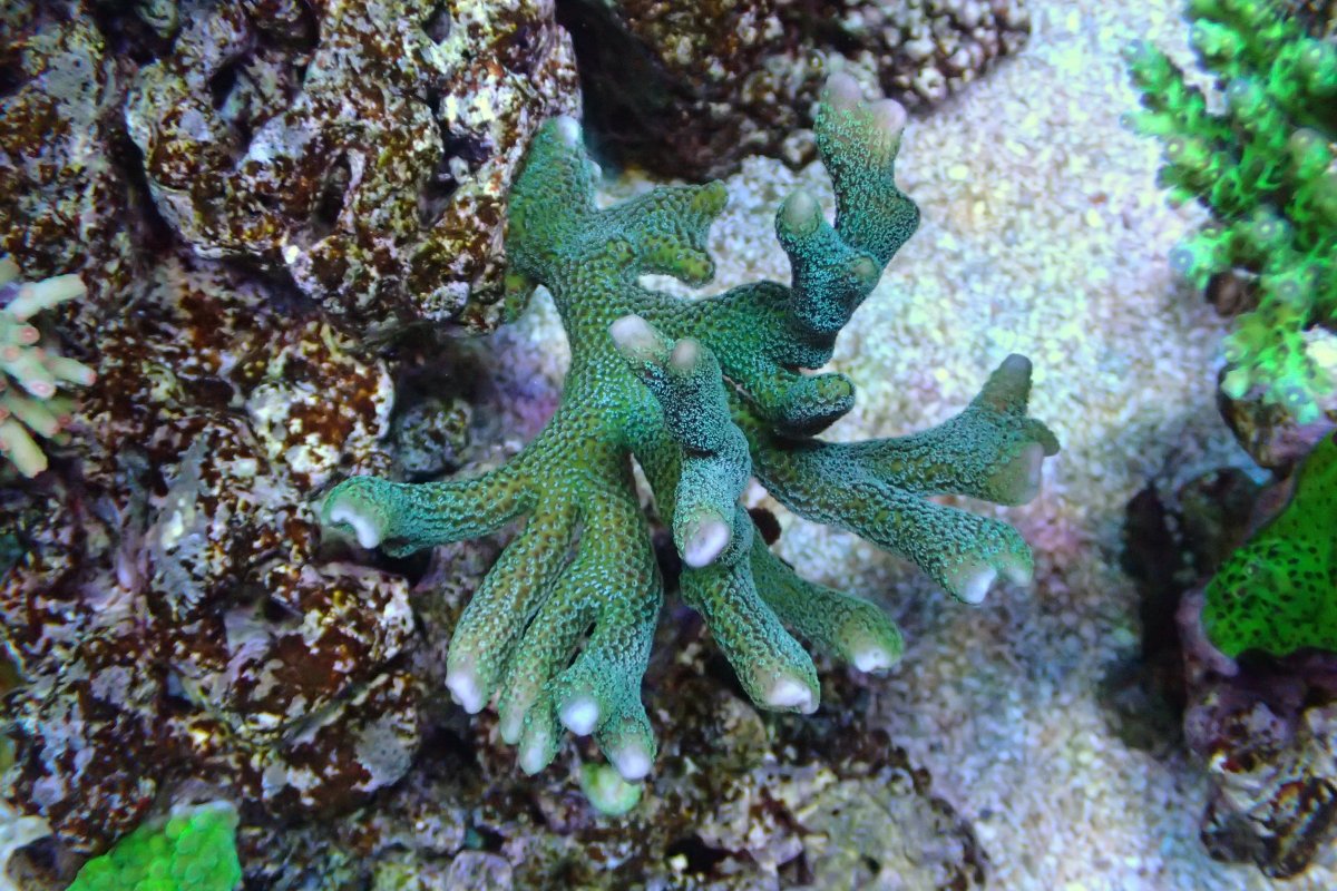 P9300130.JPG