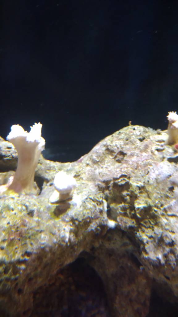 P_20181230_173153.jpeg