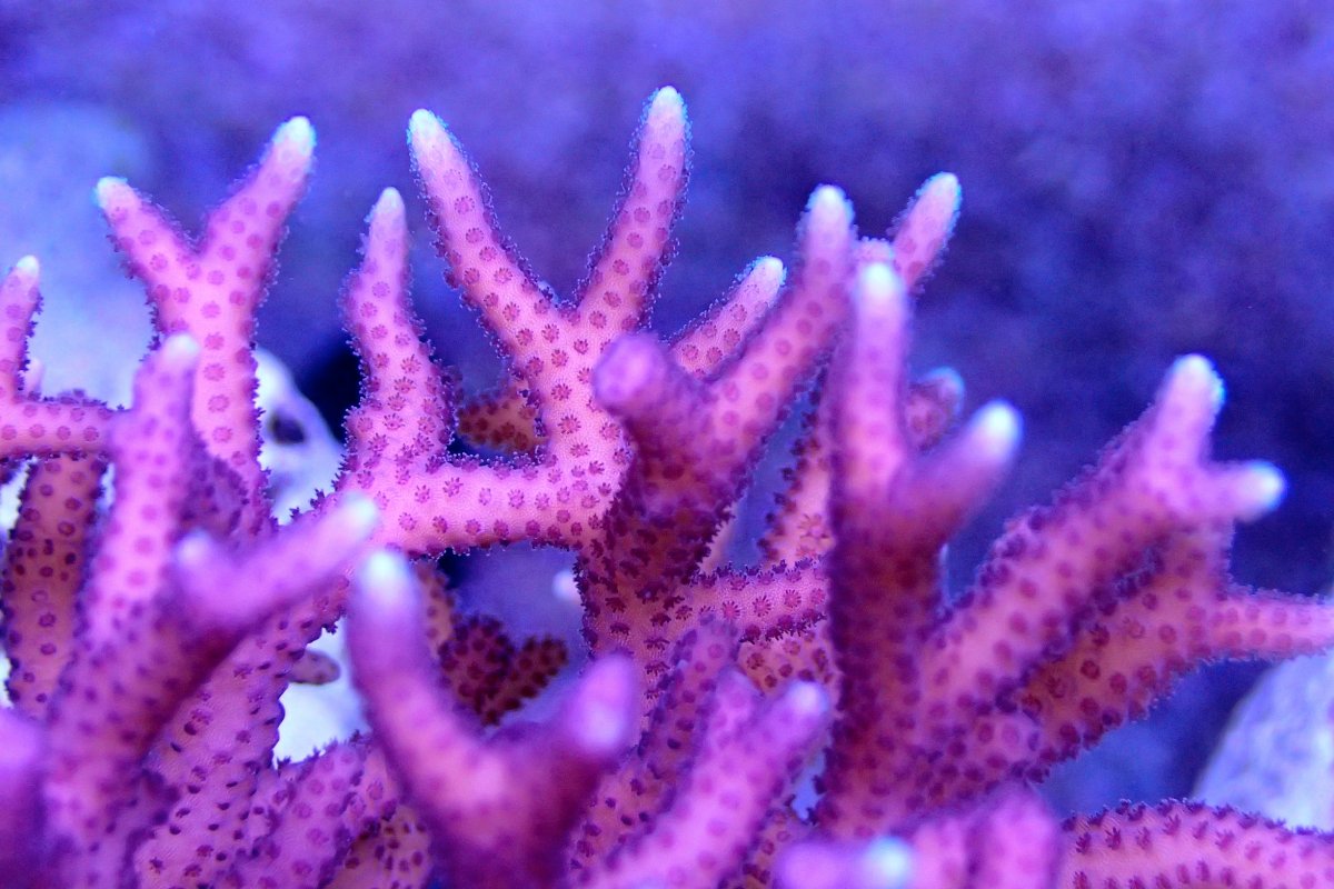 PA010138.JPG