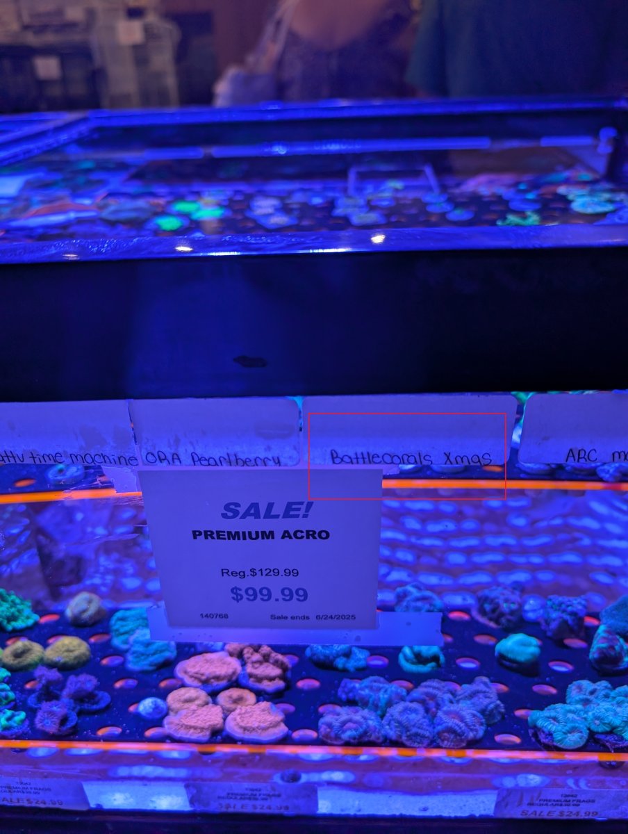 Battle Corals is having a Arbor Day Sale | Page 4 | Reef2Reef
